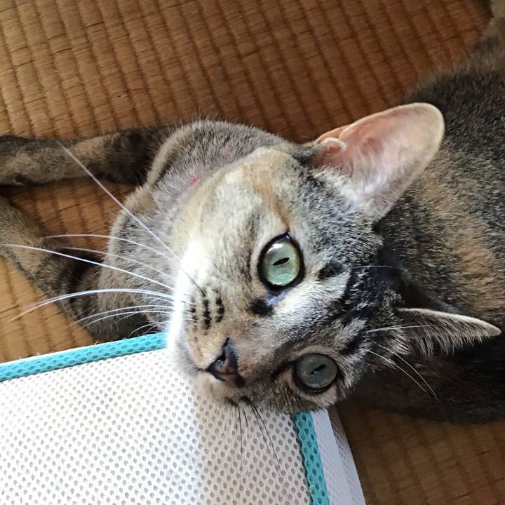 4cab17d8 7308 47bf bcde 079b4e3045b0 1596690783605