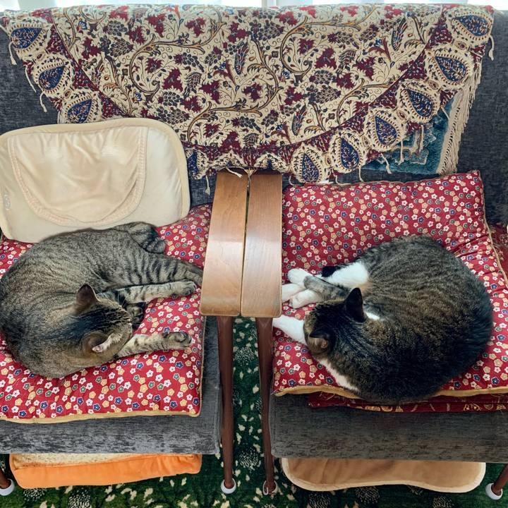 4cab3e1e f782 490e b375 ee7c62d1d180 1625616281650