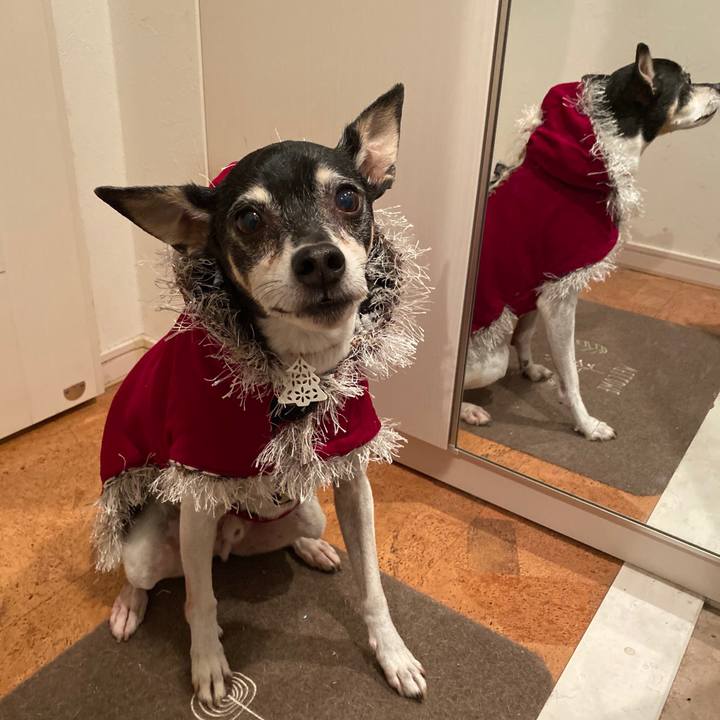 4cab4728 a894 45b9 9012 5bfa3b97d879 1577279308915