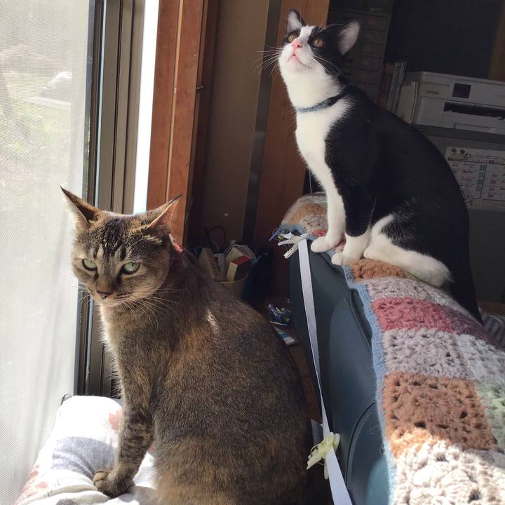 4cab69f7 2ef5 4a88 ab88 5fcad299f87f 1633308797061