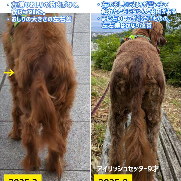 4cab91f7 8d67 412a a92c 24a8975a4ad3 1761730699717