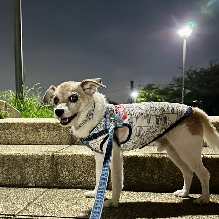 4cab97b1 b45f 455e bd49 8fd2f7c1003f 1694772342315