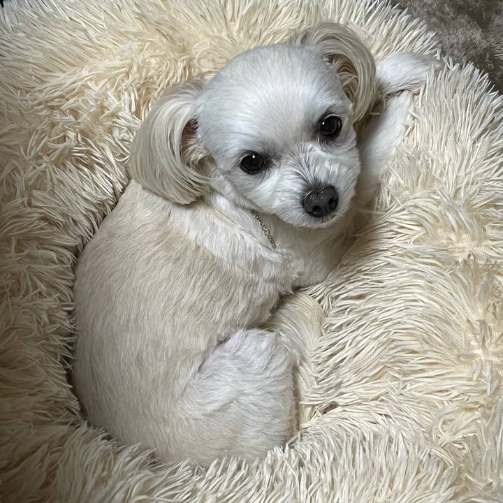 4cab9c94 cc2f 4930 b9d5 4b3bbb955091 1669984200788