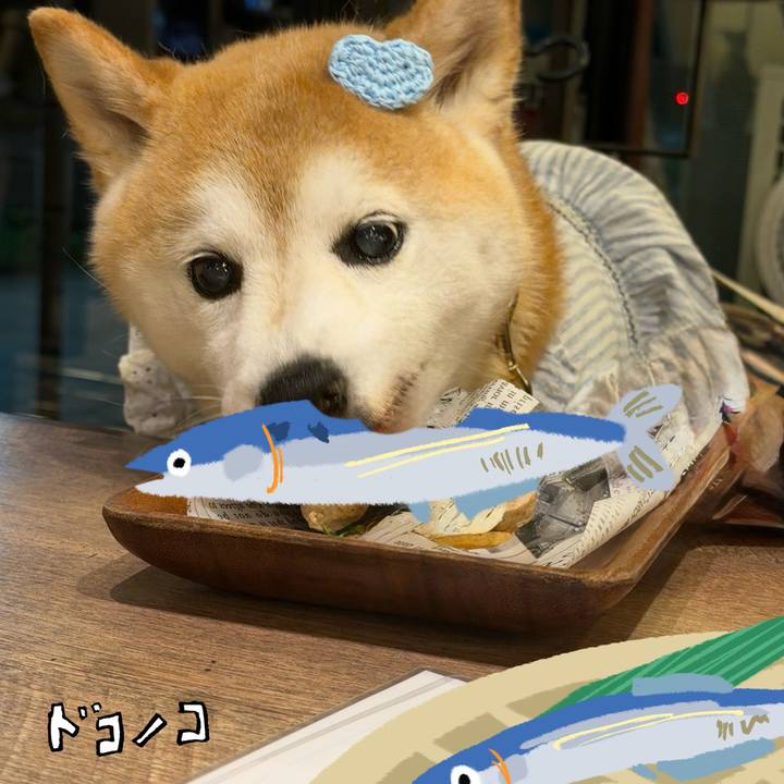4cabb7e7 7880 4925 9329 1ace6d2ac39e 1789785358001