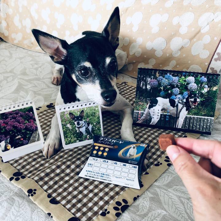 4cabcd57 0b88 4fd0 a830 5a6ecc833bb1 1559340109373