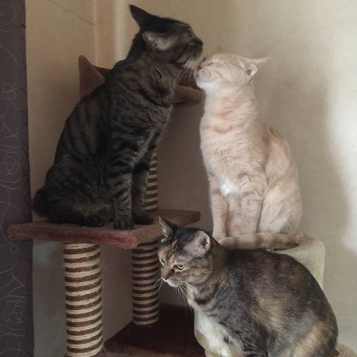 4cabed8b 69a3 4738 bf32 6fe8bc048208 1672229079915