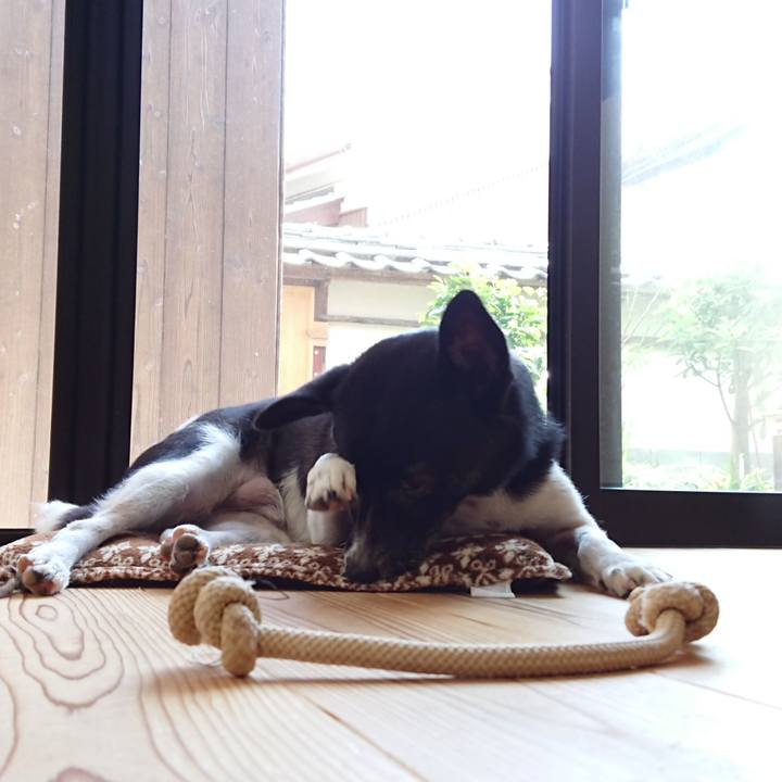 4cabef2e 203a 4103 b837 8b66ec4c8ca1 1595162239550