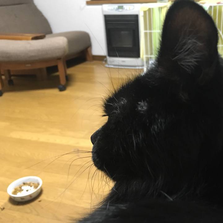 4cabf912 4e8c 4382 8993 7fb285b80ee6 1544100312586