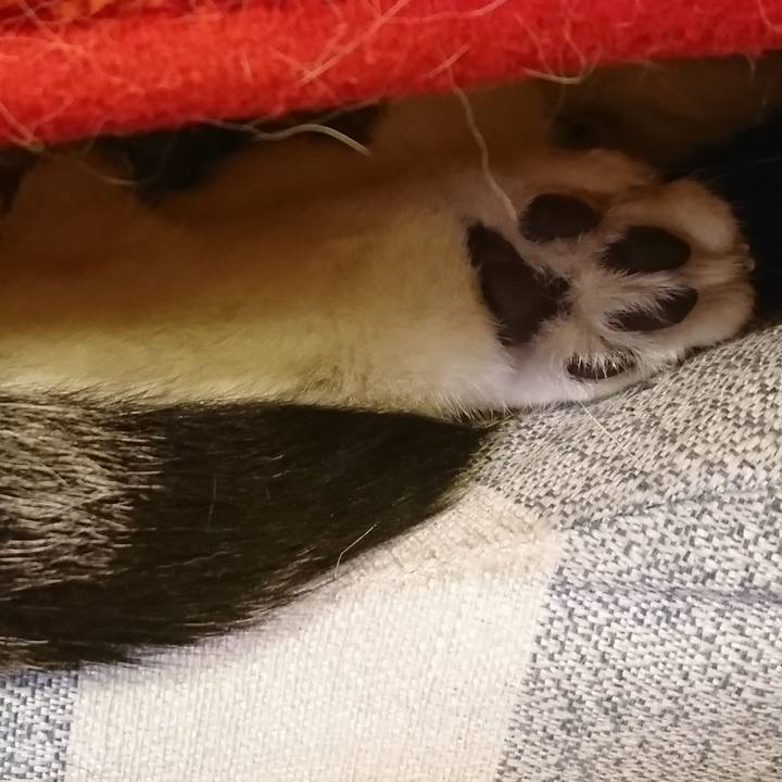 4cac2e8c 94f8 4cf7 bfed 34469f091c30 1572510093041