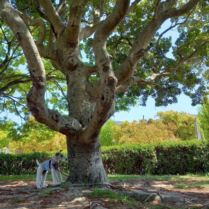 4cac3197 009f 47c3 be58 220f79bfc943 1618028226320