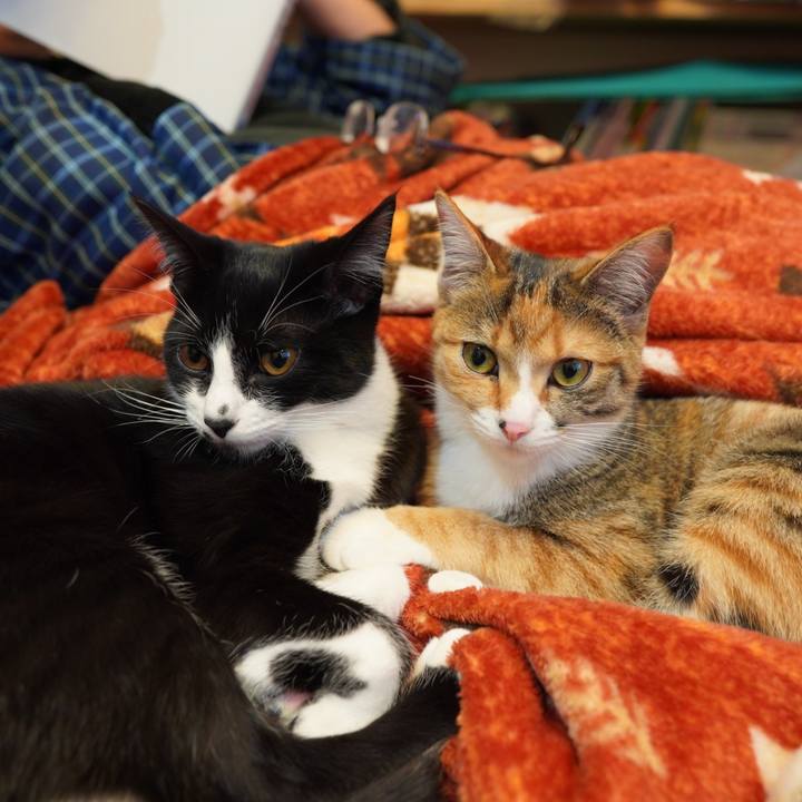 4cac6f32 fba8 492c b506 cc5326c35a14 1582756267067