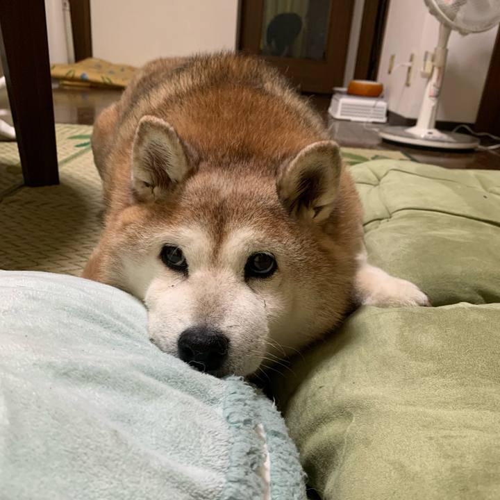 4cac808f d431 4c83 ad79 3e3f375b2dfc 1625528338612