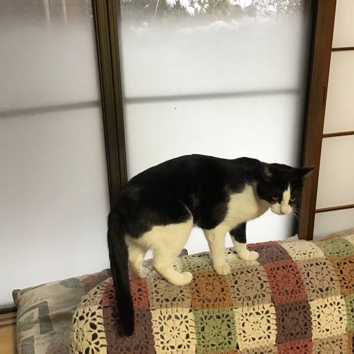 4cacc620 b241 4f44 ad5f 87c454c04ce3 1644447035907