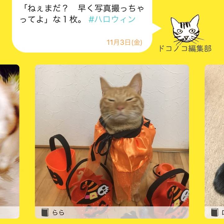 4cacdb8c abac 4ee5 8ee7 3c19be94139e 1509682189095