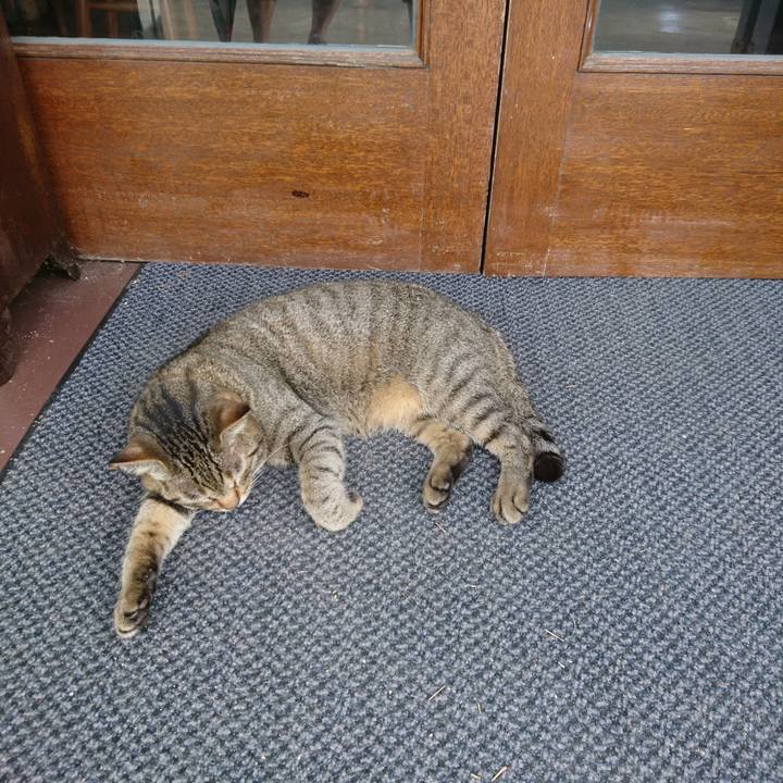 4cacea4b 7134 4eeb 9ead 6eb3b1b6450c 1534233111892