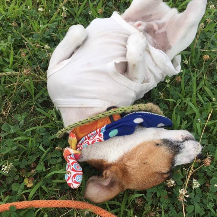 4cacfc4d 9478 49b6 9014 7e2d85677ae0 1658309371135