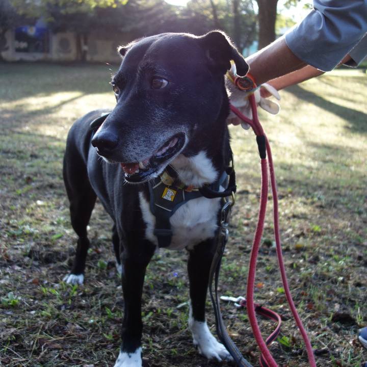 4cacfef1 8a14 4538 83b5 52ed6ffe404f 1729729520015