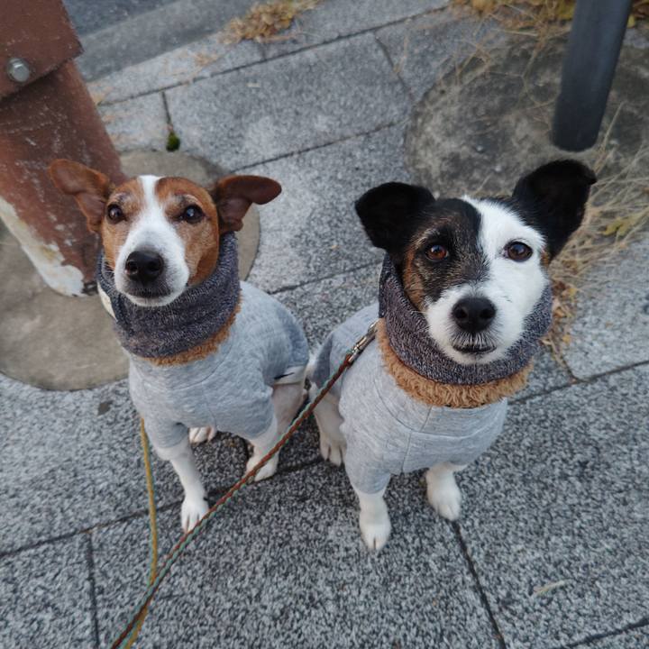 4cad45d2 fb0e 485e ae45 f75813cca305 1734731784150