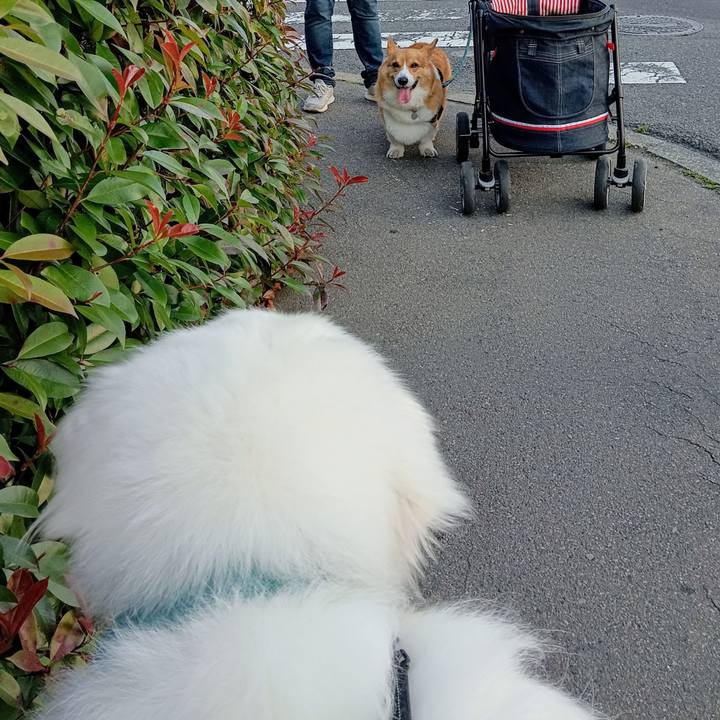 4cad47e9 68a2 4544 8d60 ebae7e16a792 1717629218316