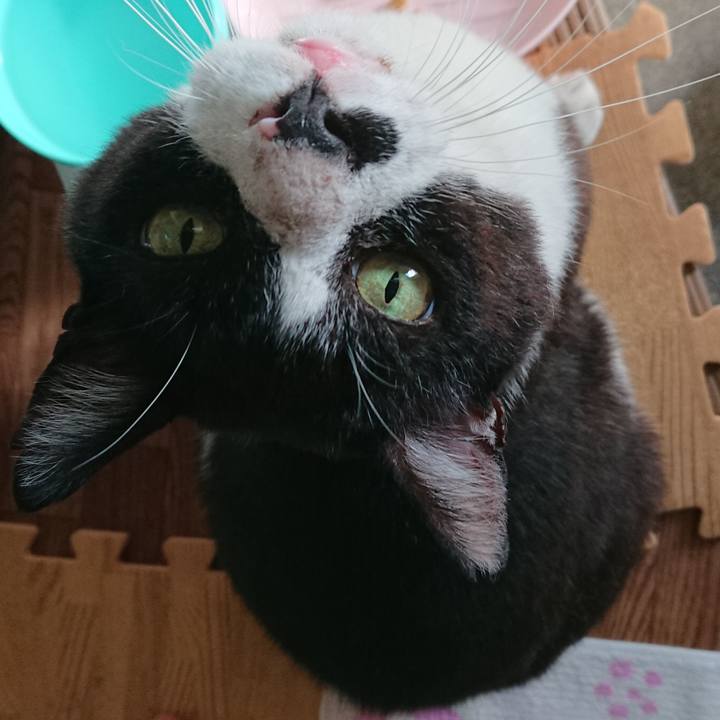 4cad52c6 a353 41e8 afa5 ba1f78a7f4a7 1565089915738