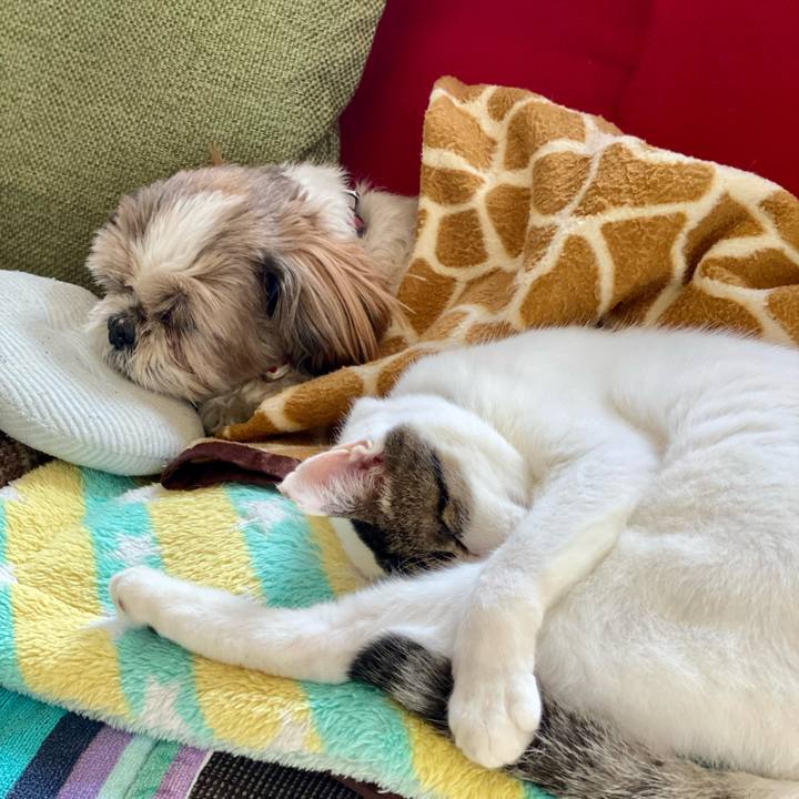 4cad7d1b a0bb 4856 95b4 2d4dd563daee 1667615934350