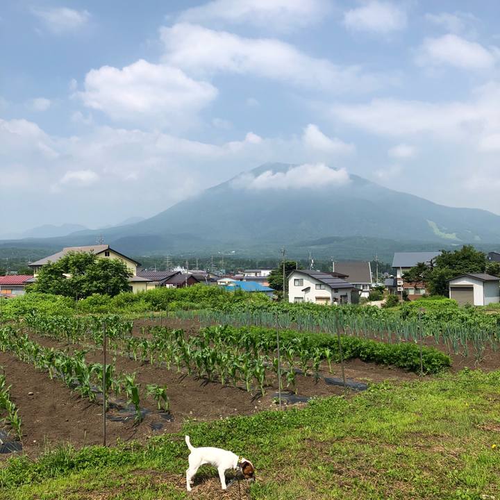 4cad9d08 6c1c 4e73 add1 05f7db3f9ca3 1529888001265