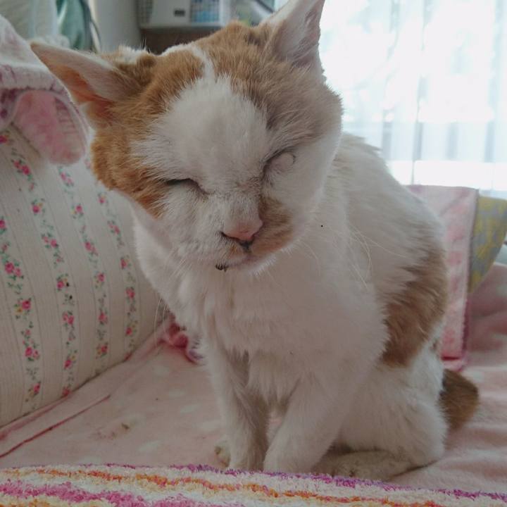 4cadc997 0d28 462c 82e1 d448ef9763b4 1623973578227