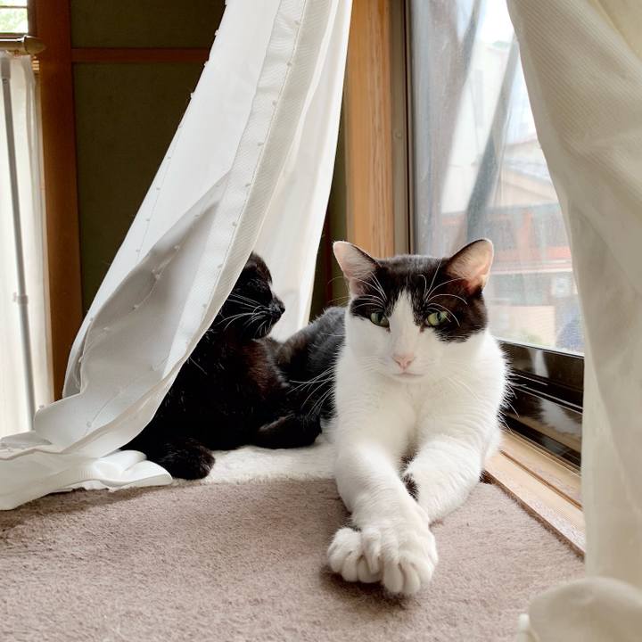 4cadc9ad 26cd 4b40 9354 d8c9dbfeb9a5 1540348157062