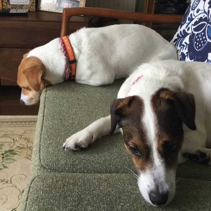 4cae242f e685 4ac3 9bbf 21851314188d 1526434330723