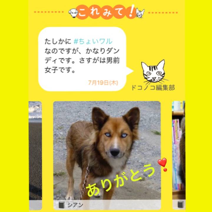 4cae58b1 a2bb 4ea0 8104 eac3ebbdd93c 1531974786890