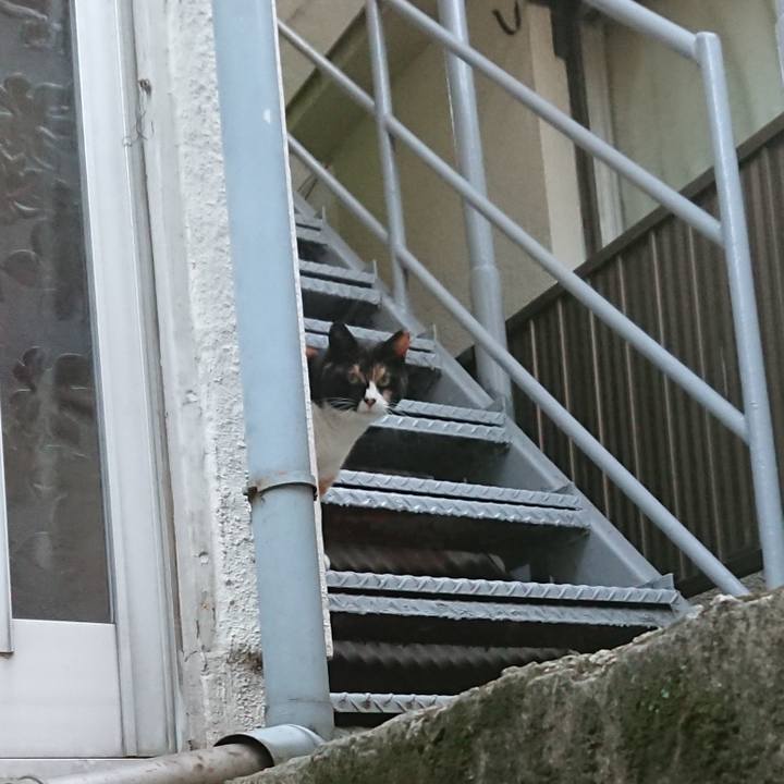 4cae6c6f 30d3 416a 9f5a a1e6fd521375 1527931627036