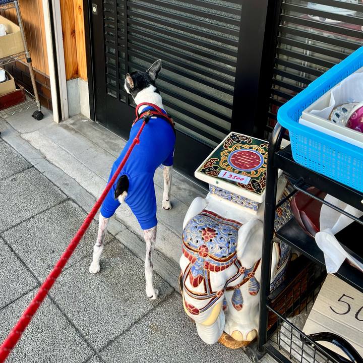 4caec932 f20e 48ad 80cc a4ac8f38071b 1648379565890