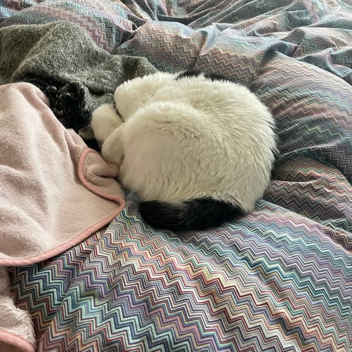 4caf1fc2 0a0d 440f b191 55a1b81af0ae 1644194055840