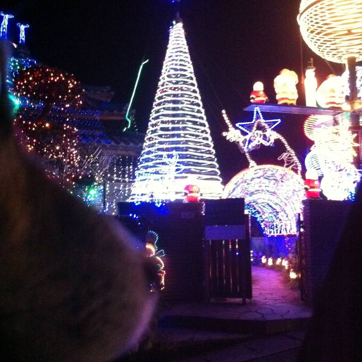 4caf89fc cb60 49a6 b1f0 0ef160b4f6b5 1545623640537