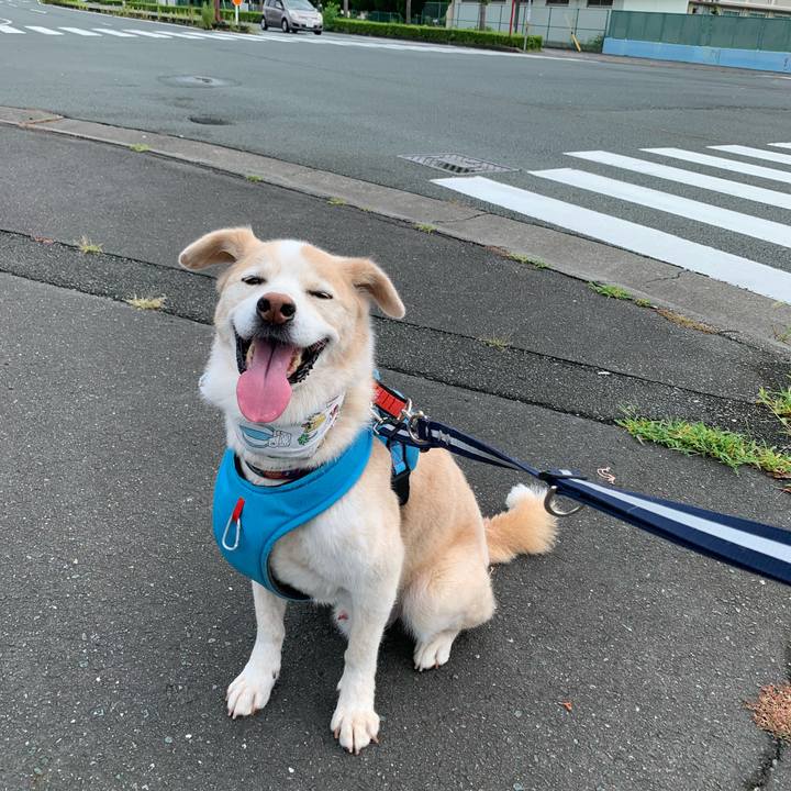 4caf9c04 db26 4ba5 b7b0 f5667287b47b 1660446746532