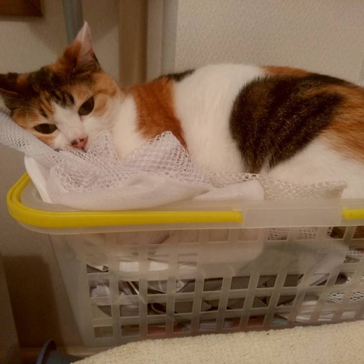 4cafcf4c f5c4 4e61 89de b989940ef6d7 1655637934009