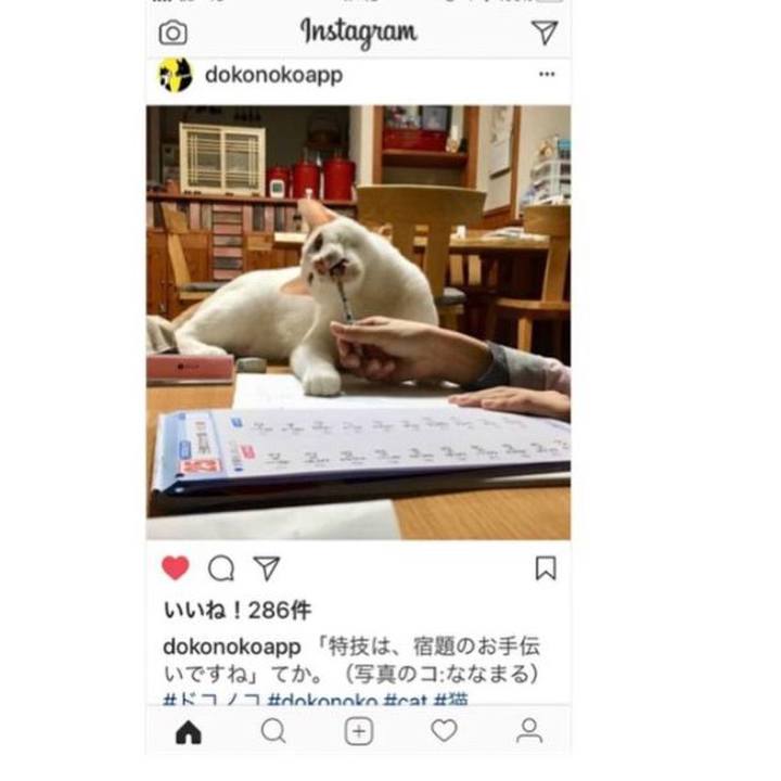 4cafdc5d ff64 4e06 8c2b 9bbab52a2f72 1521192764234