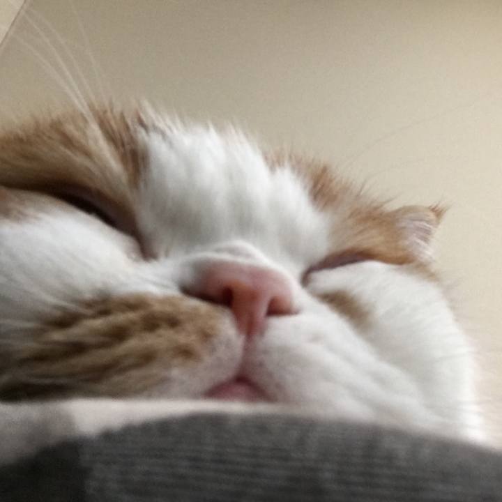 4caff442 7135 414f 8e77 a4f05b3d8dc6 1515029088918