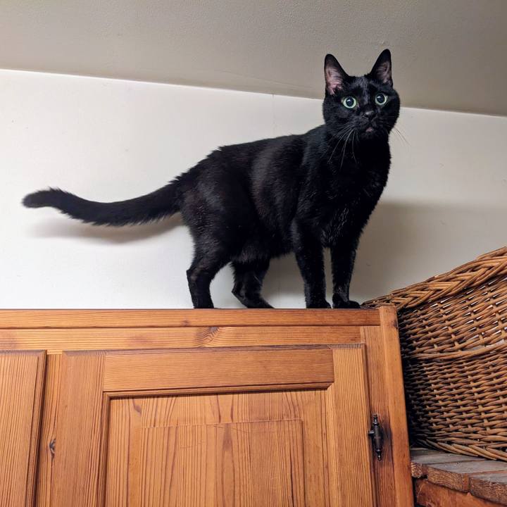 4cb00ed5 930d 4d34 a00c a868a2729a82 1759445417697