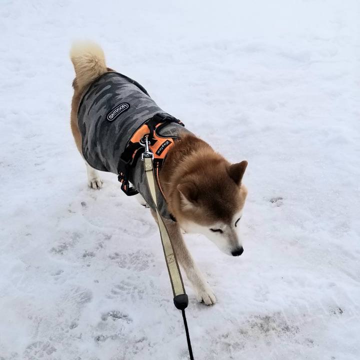 4cb01b2f 5a9e 44af a59c 892f67ce4d09 1644726614763