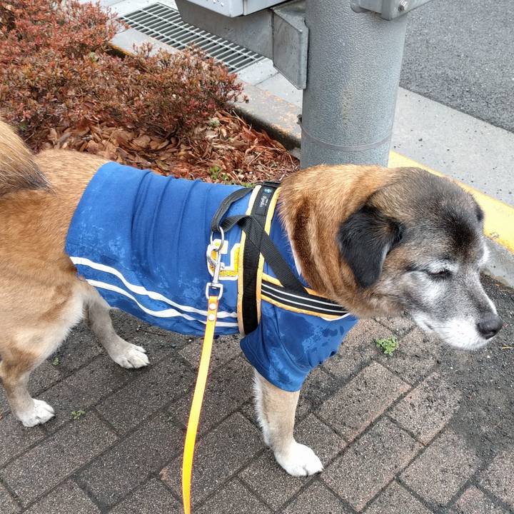 4cb05a80 8403 4468 b406 4a6ff5a908ab 1520467600628