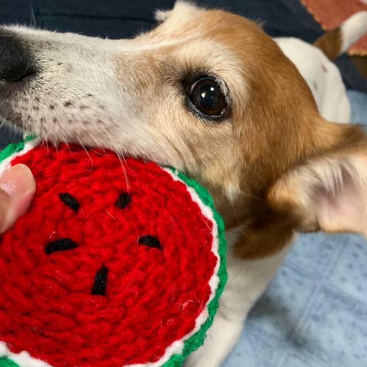 4cb075fa 184f 4ed6 9e9e 4ac628bbb593 1565915377580