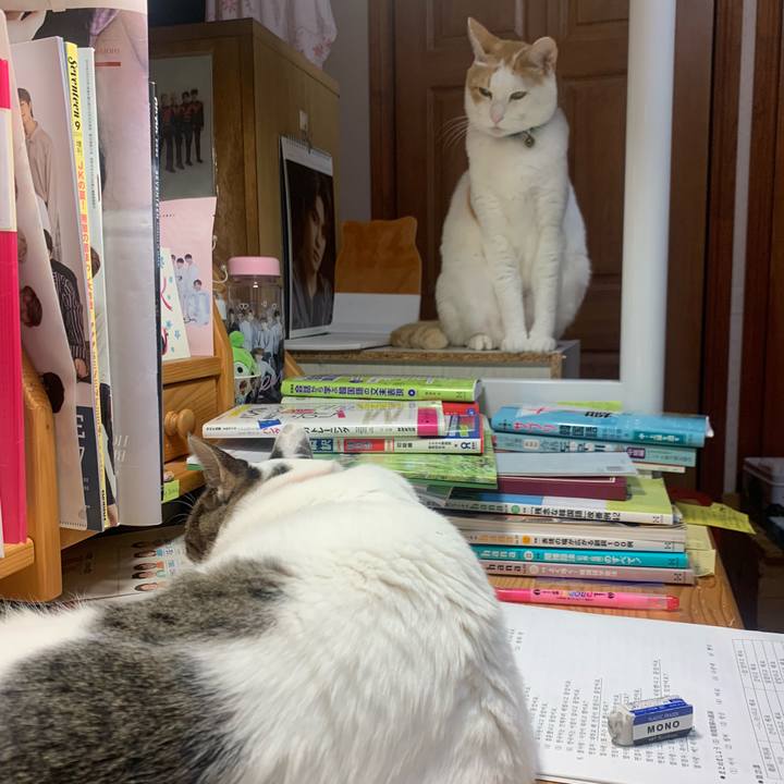 4cb079d7 88fa 4446 8e99 3380f9e069ec 1582492243977