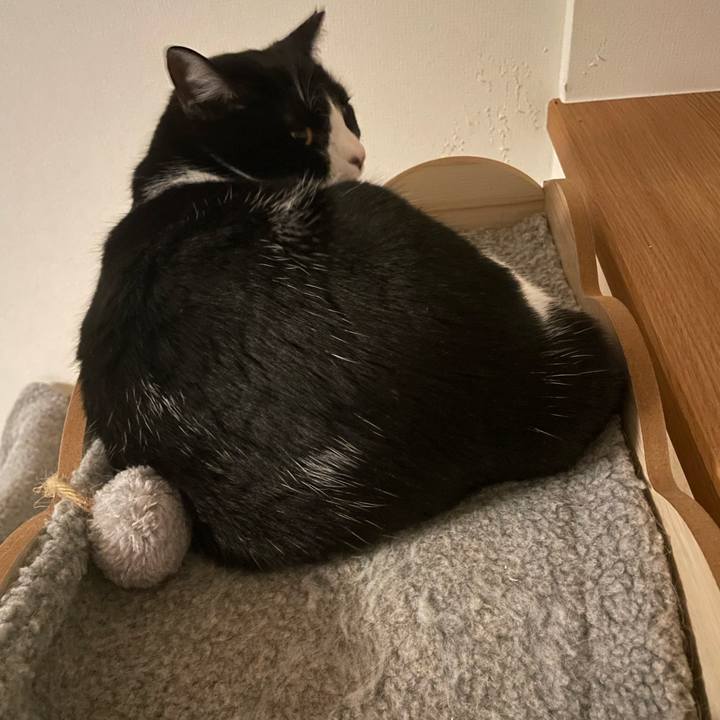 4cb08071 fd61 4465 99a9 7e4d474a4589 1710757668303