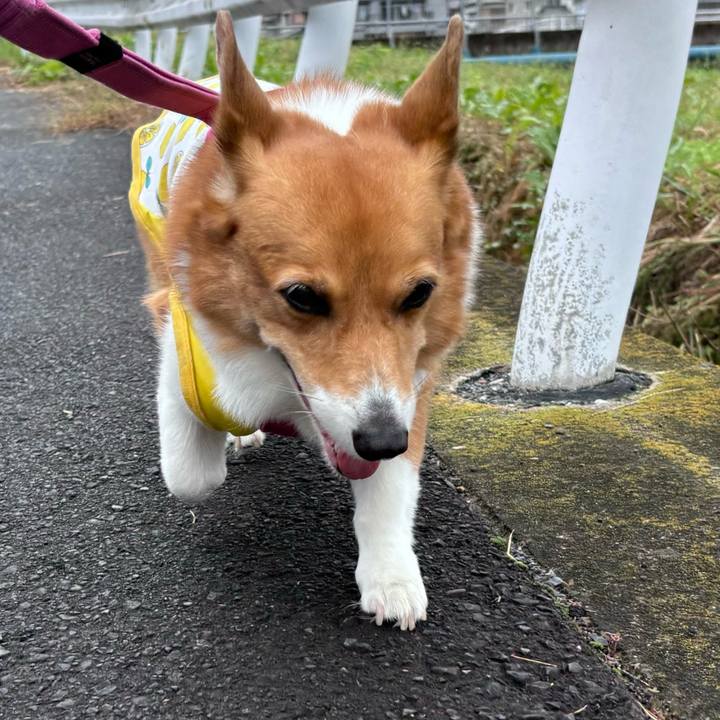 4cb084cd c9b3 4211 9c82 568ebeb0a1b1 1728188728996