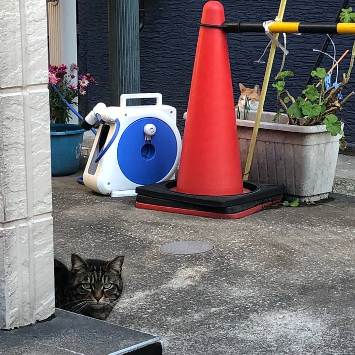 4cb08e93 6076 439d aafe a455b670cd7e 1520673136638