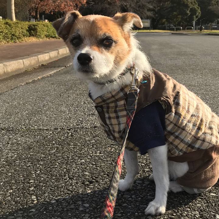 4cb0aa88 c652 4c78 87bf d7e39f94377a 1544598405898