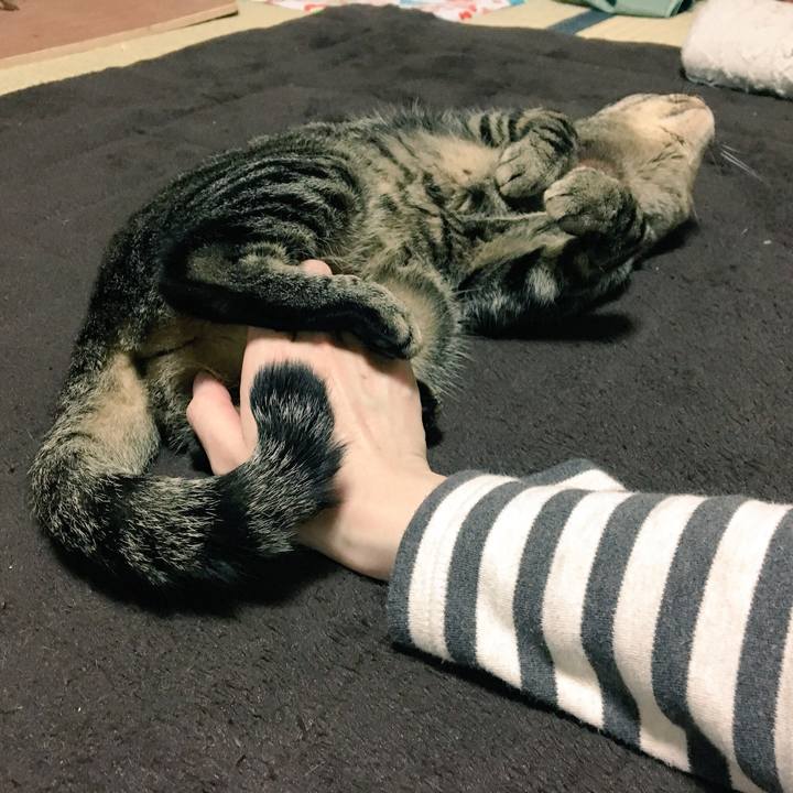 4cb0b29d b7ac 4c02 86c4 4ce51c22bfd1 1524364839610