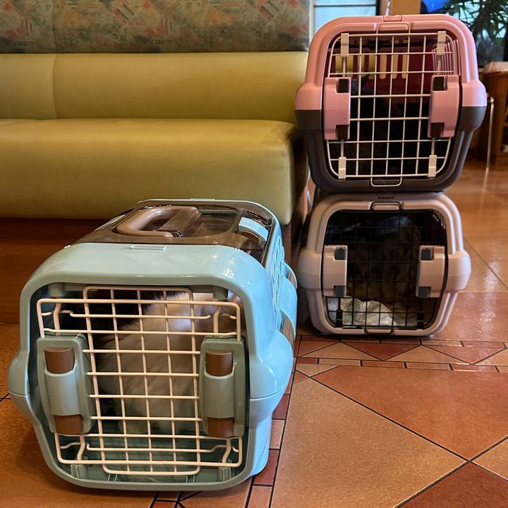 4cb0e6b8 ebe4 4f47 986f 4b336f9a07ba 1760511803349