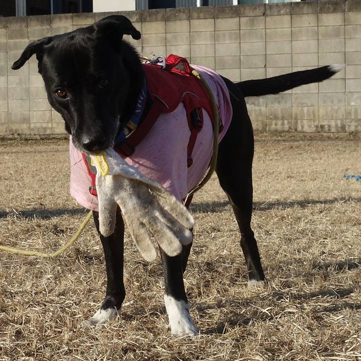 4cb0f2b0 7e64 4274 9e89 a0224c929a96 1675212709711